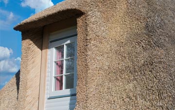 Hearn thatch roof disadvantages