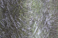 Hearn fibreglass roof work